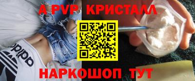 стаф Гатчина