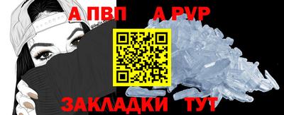 стаф Гатчина