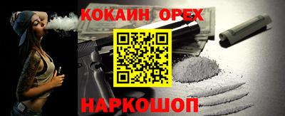 стаф Гатчина