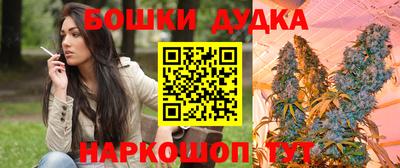 стаф Гатчина