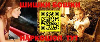 стаф Гатчина