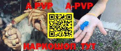 стаф Гатчина