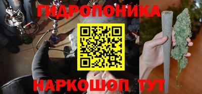 стаф Гатчина
