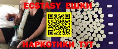 стаф Гатчина