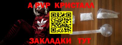 стаф Гатчина