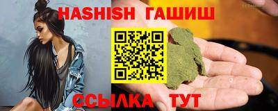 стаф Гатчина