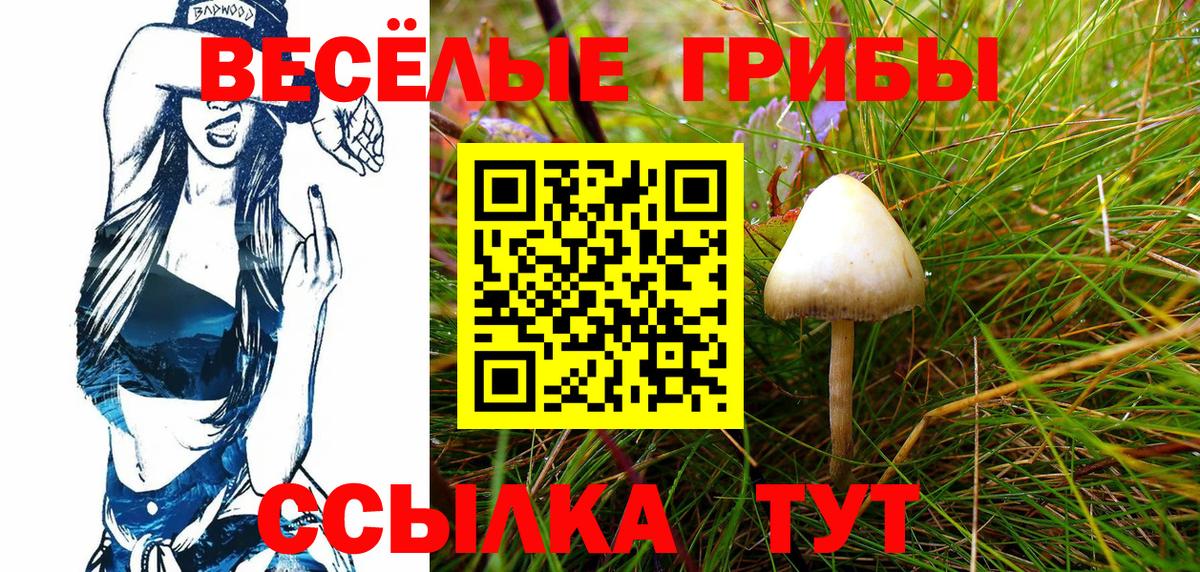 Галлюциногенные грибы MAGIC MUSHROOMS Краснознаменск